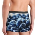 thumbnail image 5 of Balery Blueberry Men's Boxer Briefs, Soft and Breathable Cotton Underwear with nylon Waistband-X-Large, 5 of 9