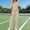 Pants-163Khaki, variant on Gamivast Women 2 Piece Outfits Short Sleeve Top and Wide Leg Pants Athletic Glof High Waisted Drawstring Lounge Set Holiday Outdoor Contrast Trim Split Hem Casual Tracksuit
