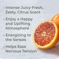 thumbnail image 2 of Plant Therapy Blood Orange Organic Essential Oil 100% Pure, Undiluted, 2 of 4