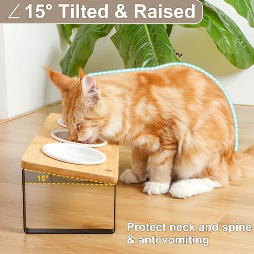 Raised Cat Food Water Bowl Elevated Tilted Kitty Dishes Set of 3 Ceramic Dish for Indoor Cats Orthopedic Pet Food Stand Reduces Vomiting 3 Bowl Cat Feeder Easy Assembly(Wood Color)