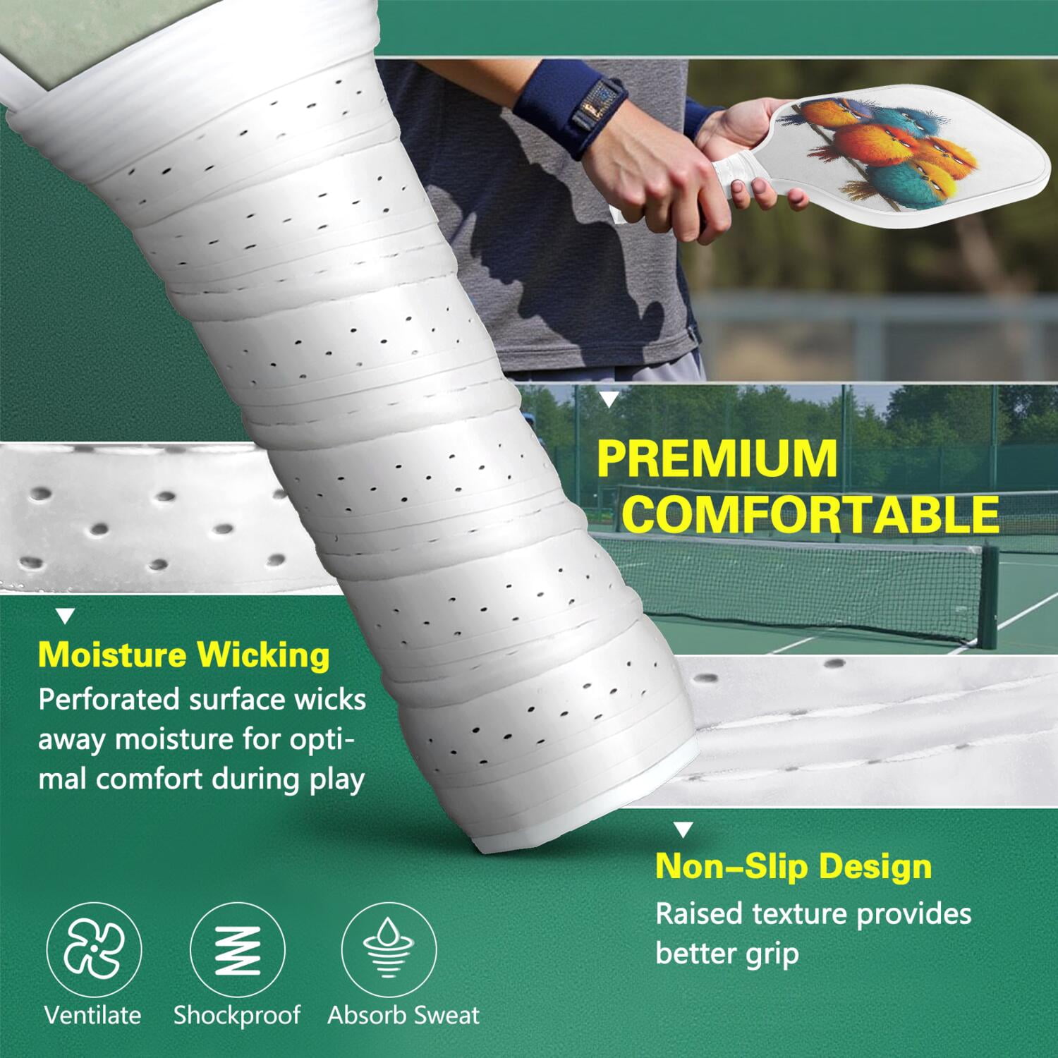Pickleball Paddles Set Of 2, Fiberglass Surface, Unhappy Birds Print, 4 Balls & Bag