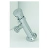 T&S Brass Single Hole Metering Faucet with Single Push Handle