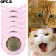 thumbnail image 5 of Bolas Hierba Gatera Plástico para Gatos Juguete Reemplazable Con Forma Cabeza Perro Suministros para (rosa) 6 Uds., 5 of 5