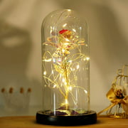 Eternal Flower-Preserved Rose Flower Glass Cover Gift Box-Gold Foil Flower with LED Light-Decoration-Anniversay Birthday Creative Gift for Female,Gold Leaf red Flower