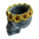 thumbnail image 2 of Maceta de resina con forma de calavera, diseño creativo en 3D, maceta para suculentas. flor de sol, 2 of 9