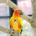 thumbnail image 1 of Ropa De Pájaros Para Mascotas, Pañales Para Pájaros, Sujetadores De Gancho Y Bucle, Pañales Para Pájaros, Para Loro De Tienda De Mascotas ANGGREK Otros, 1 of 8