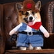 thumbnail image 3 of Ropa Para Perros Y Gatos Xihbxyly Pantalones Vaqueros Sudadera Mono Chaqueta Divertida, 3 of 7
