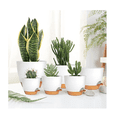 thumbnail image 3 of 7 Pcs Macetas De Plástico Con Riego Automático Para Plantas Belug Blanco, Café, 3 of 5