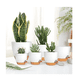 thumbnail image 3 of 7 Pcs Macetas De Plástico Con Riego Automático Para Plantas Belug Blanco, Café, 3 of 5