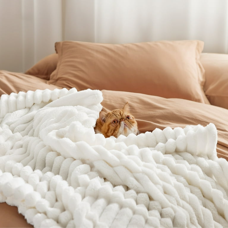 Cozy Comfort White Fleece Queen Blanket for Couch Super Soft Cozy Blankets for Women Girls 90x90 inches Shop 2024 Deals Walmart