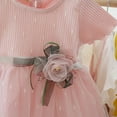 thumbnail image 4 of XBASW Newborn Baby Girls Summer Mesh Princess Dresses Flower Kid Tutu Dress Wedding Party Gown for 4M - 3T, 4 of 9
