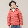 thumbnail image 2 of Futezty Toddler Girls Winter Hooded Coats Jackets Warm Puffer Coat Snow Clothes Outerwear Winter Child Kids Solid Color Hoodie Zipper Coats Keep Warm Jacket Coat Boys, 2 of 5