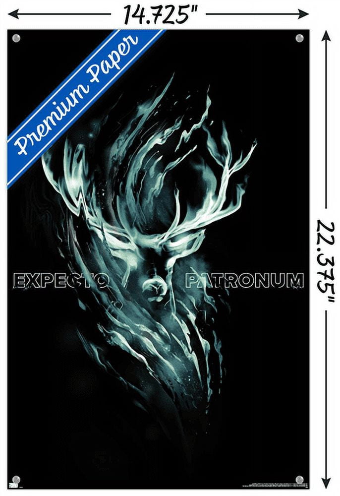 Harry Potter - Expecto Patronum Magic Wall Poster with Pushpins, 14.725" x 22.375"