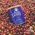 thumbnail image 3 of Alto Grande 8.8 Ounce (Pack of 2), 3 of 5