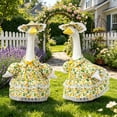 thumbnail image 6 of Antqov Porch Goose Outfits, Summer Goose Clothes Cute Dress Goose Costumes for Outdoor Pool Party Garden Yard Decor, 6 of 6