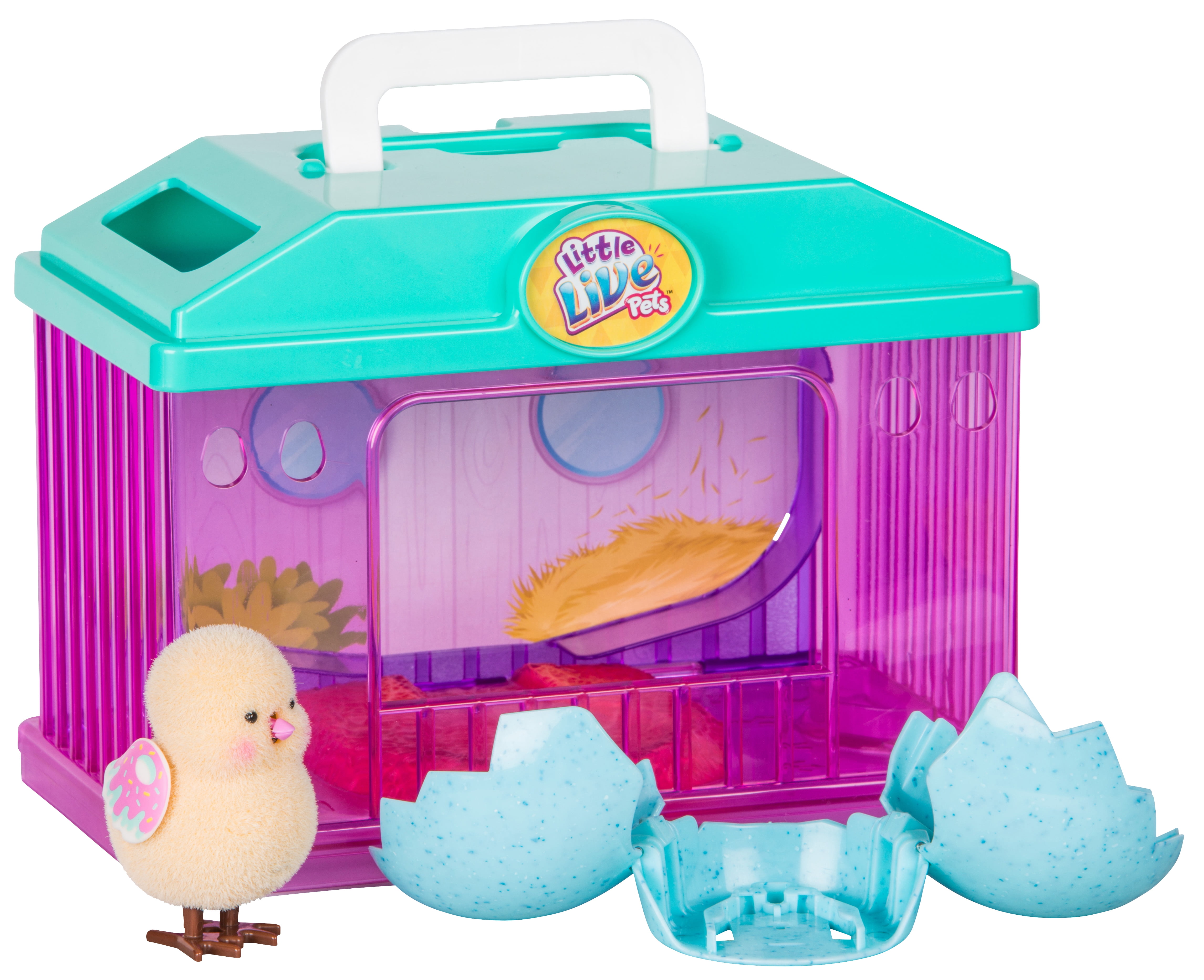 little live pets chick house