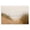 Coastal Dune Path, variant on Stupell Industries Wild Island Landscape Nautical & Beach Painting Wrapped Canvas Art Print Wall Art, 20 x 16