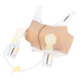 thumbnail image 1 of Medela Easy Expression Hands-Free Pumping Bustier - Nude Medium, 1 of 3