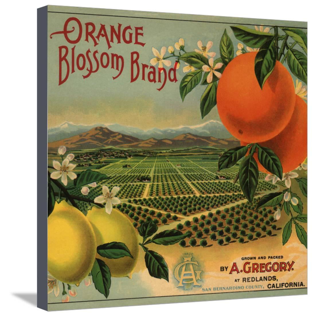 Rialto Boy California Huck Finn Orange Citrus Fruit Crate Label Art Print 