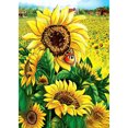 thumbnail image 1 of Cuadros Decorativos 5D bricolaje completo taladro diamante pintura girasol punto de cruz Craft Kit (z1311) Wdftyju embutido en tela, 1 of 9