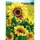 thumbnail image 1 of Taladro Pintura Diamante (DE0728) 5D DIY Girasol Completo Punto de Cruz Craft Kit (z1311) 50x70cm Hugtrwg Para estrenar, 1 of 1
