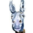 thumbnail image 3 of Parker, Jennifer Paxton 19x24 Black Modern Framed Museum Art Print Titled - Sweet Donkey I, 3 of 5