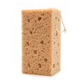 thumbnail image 1 of heavy duty sponge, 1 of 5
