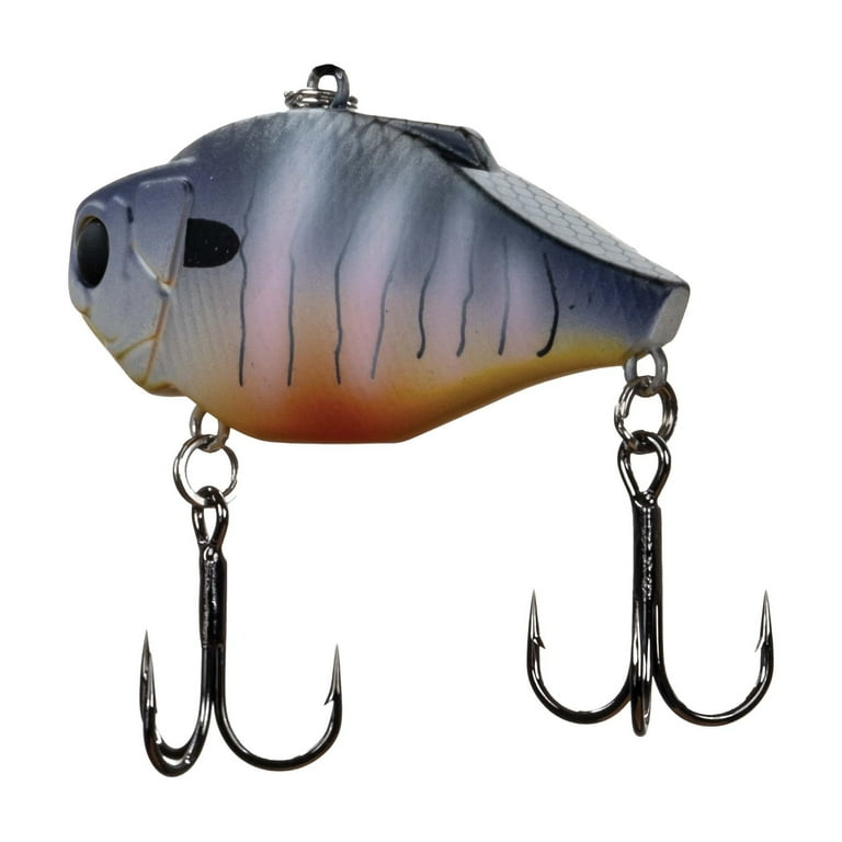 a head and looney frog fish lure Berkley Swamp Lord Hollow Body Frog