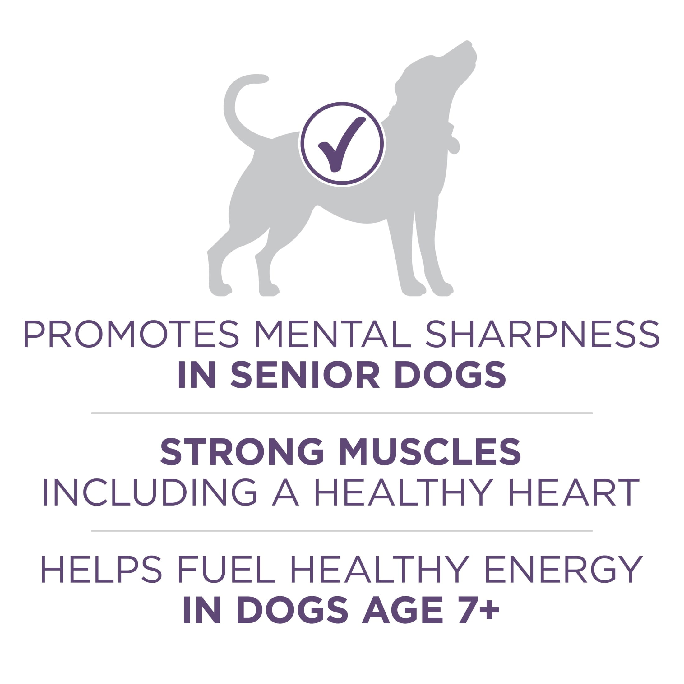 Purina One +Dry Dog Food for Senior Dogs Vibrant Maturity Adult 7 Plus, Real Chicken, 16.5 lb Bag
