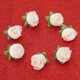 thumbnail image 3 of 50 Uds. Flor de cabeza de peonía de rayón Artificial bola pequeña crisantemo flor de clavel pequeña carne, 3 of 5