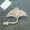 Beige, variant on Indestructible Doggie Chew Toy for Aggressive Chewers Squeaky Teething Plaything for Dogs and Small Animals - Indoor Play Solution