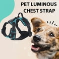 thumbnail image 4 of CBFFDC Pet Chest Strap Rechargeable LED Lighted Dog Harness Luminous Pet Harness Adjustable Glowing Pet Chest Strap for Night Walking, 4 of 7