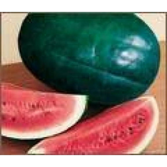 50 * Seeds FLORIDA GIANT WATERMELON Cannon Ball Black Diamond Citrullus Fruit Seeds