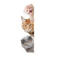 thumbnail image 1 of Adhesivo para Decorar La Pared de Gatito y Perro onlyliua para El Hogar, 1 of 1
