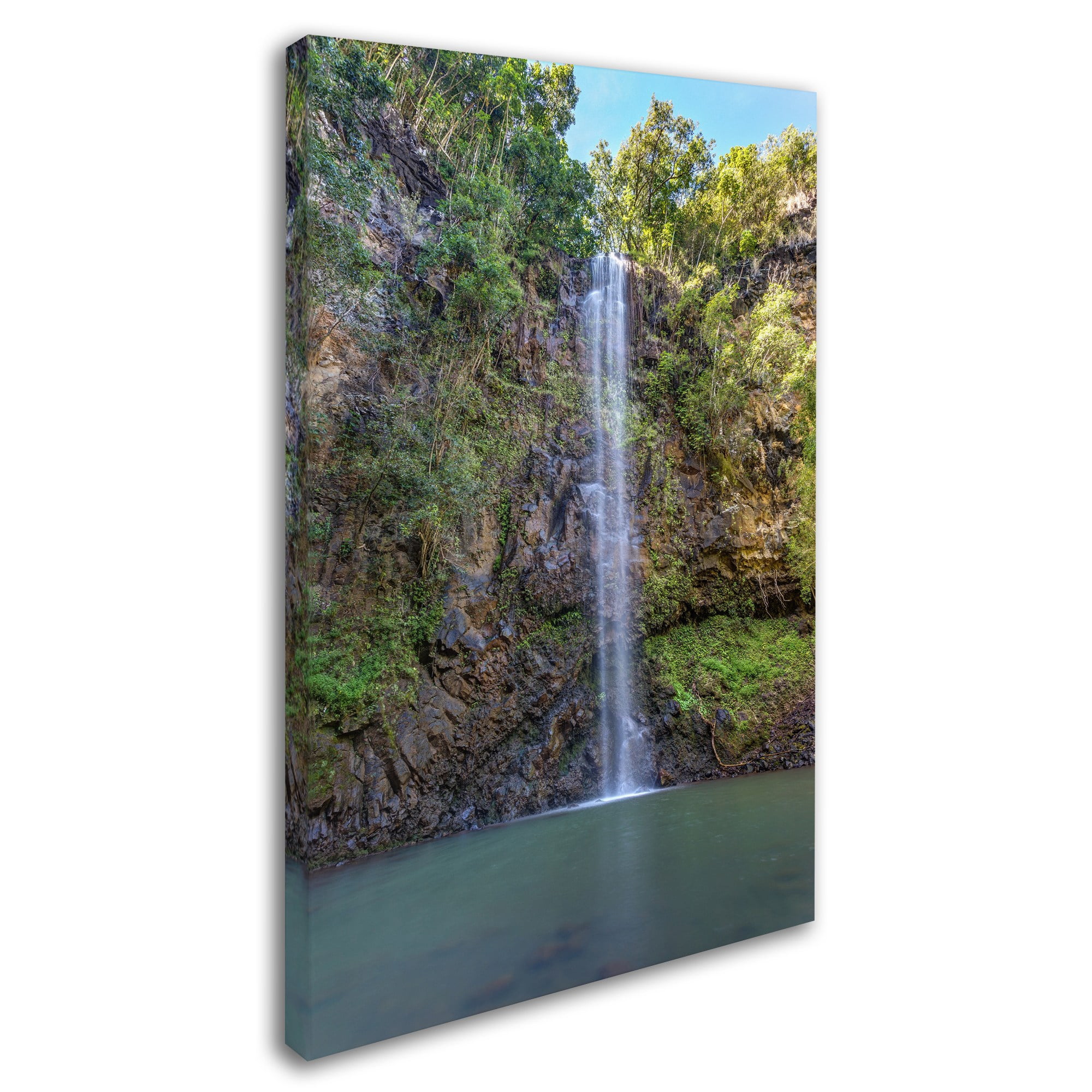 Trademark Fine Art 'Secret Falls' Canvas Art by Pierre Leclerc