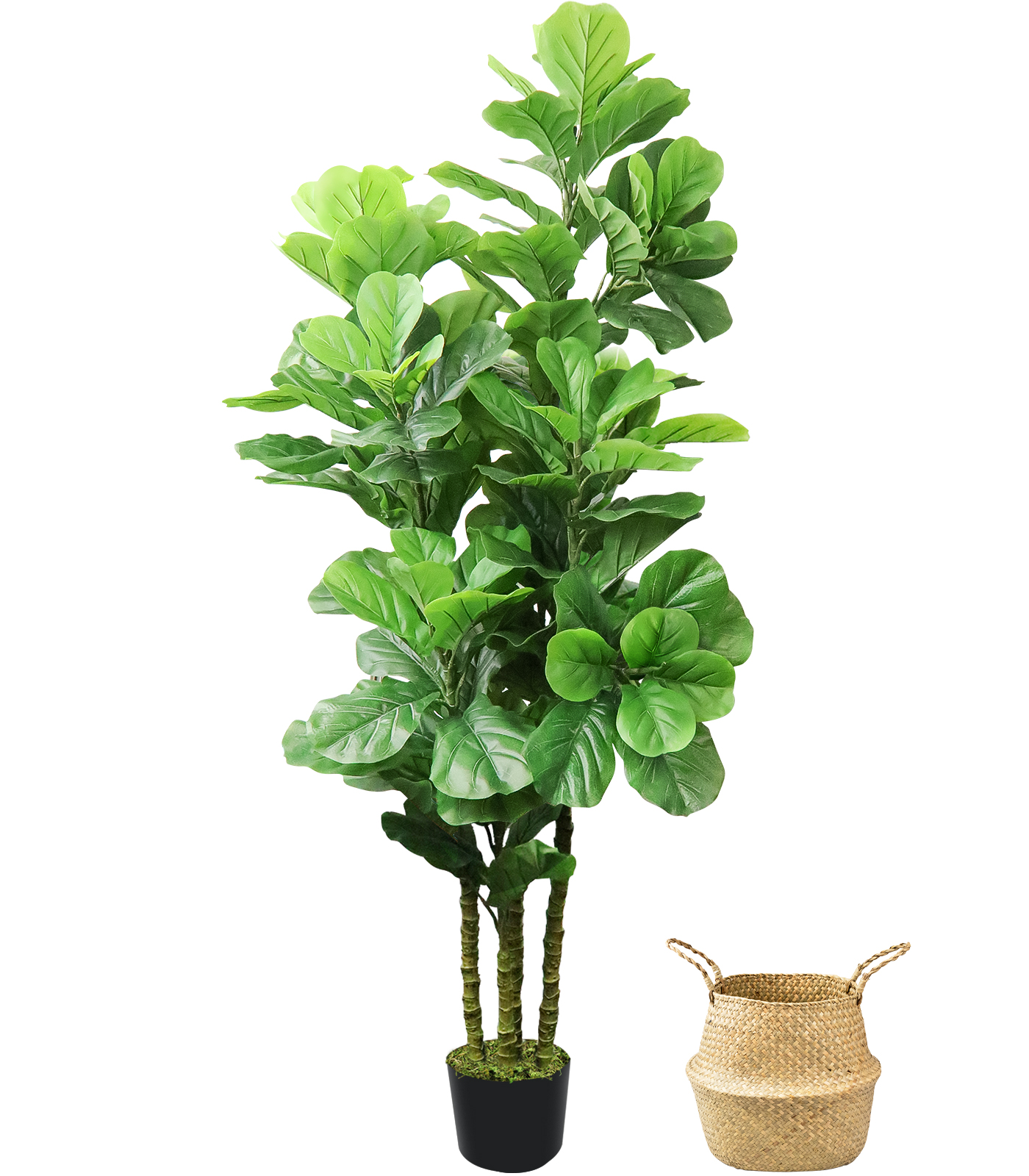 ROOMTEC Artificial Fiddle Fig Tree 6 Ft Fake,Tropical Faux Plants with