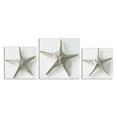 thumbnail image 1 of Uttermost Silver Starfish Wall Art (Set of 3), 1 of 2