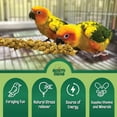 thumbnail image 6 of Worlds Freshest GMO-Free, Sun Dried Spray Millet No Stems Only Edible - Tops-Original Bird Treat and Supplement for Pet Birds Parakeets, Cockatiels, Lovebirds and Finches - 5lbs, 6 of 8