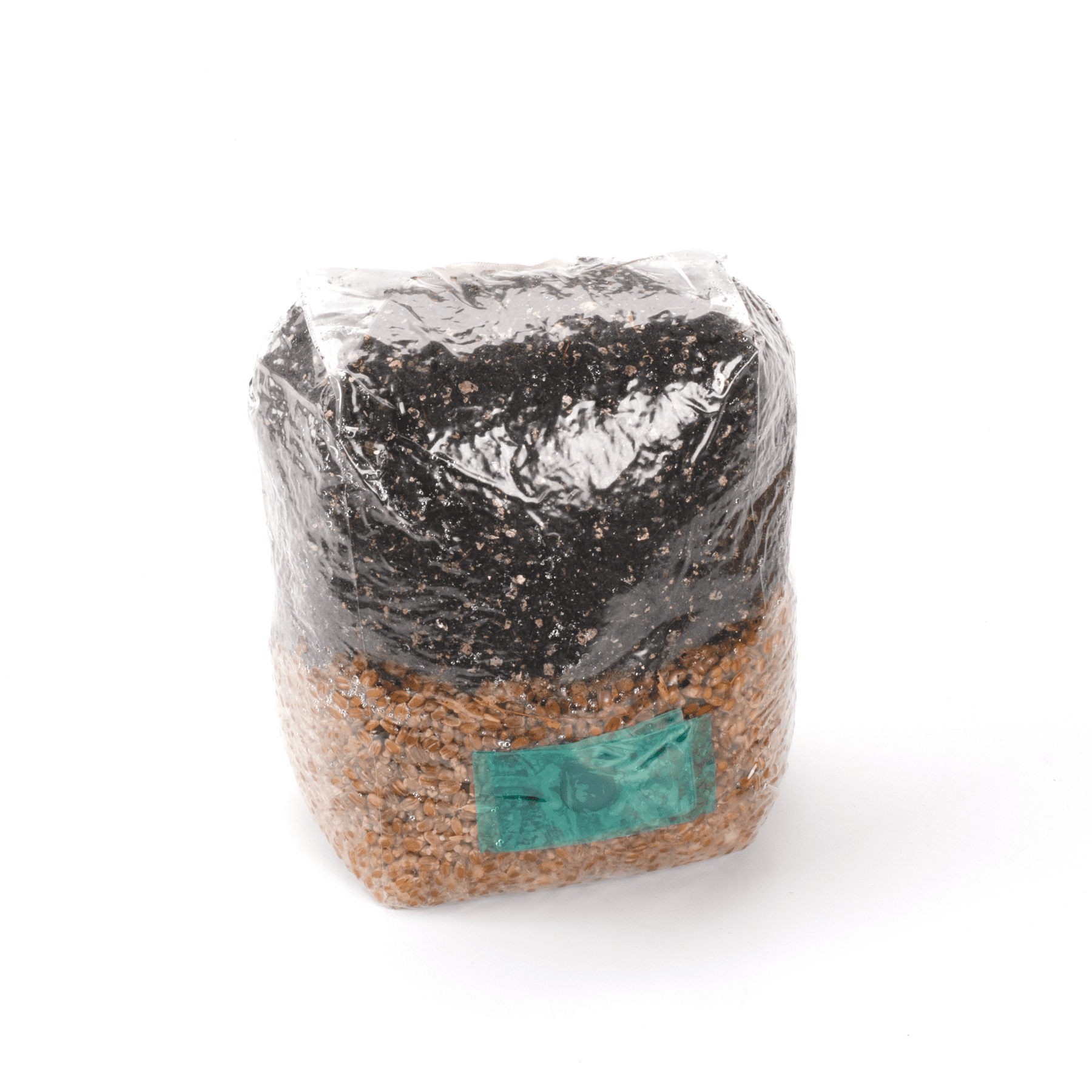 AllInOne Mushroom Grow Bag 5 pounds Sterilized mushroom media with