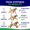 thumbnail image 4 of Glucosamine for Dogs Hip & Joint Supplement - Chondroitin, Omega-3, MSM - Joint Health & Pain Relief - Senior & Large Dogs - Made in USA - 120 Mobility Chews, 4 of 8
