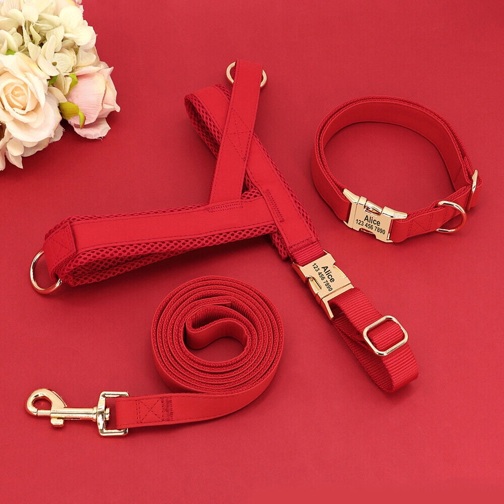 Pet Artist 3pcs Personalized Dog Harness & Collar & Leash set Metal ID Name Metal Buckle Mesh Padded Adjustable