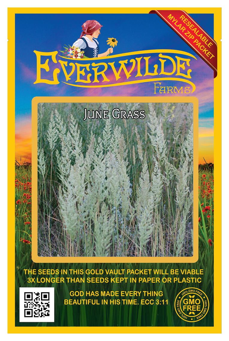 Everwilde Farms 2000 June Grass Native Grass Seeds Gold Vault Jumbo