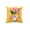 Multicolor348, variant on Zynviq Multicolor Decorative Pillow Covers 18x18inch Couch Pillow Covers Flower Polyester Square with Zipper