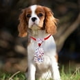 thumbnail image 5 of RKSTN Attaches en Polyester pour Animaux de Compagnie, Attache pour Chats et Chiens, 5 of 5
