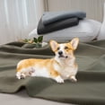 thumbnail image 3 of SOFTHUG Throw Blanket Fleece Travel Blankets for Camping Couch Sofa Chair Lightweight Fuzzy Blanket Soft Washable Small Blanket Compact Blanket Twin Green, 3 of 4