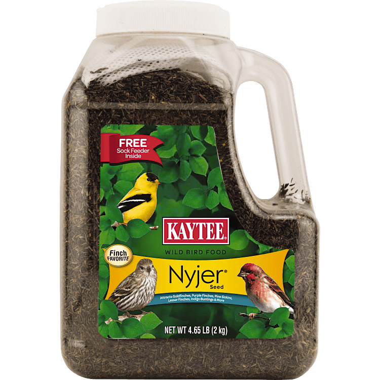 Kaytee Finch Wild Bird Food Nyjer Seed 4.9 lb. - Walmart.com