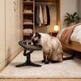 thumbnail image 4 of Pet Feeding Bowl Adjustable Height Angled Design Non Slip Base for Cats and Small Dogs, 4 of 6