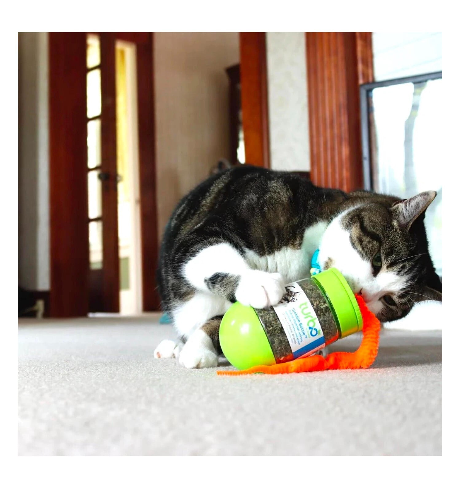 Cat Toy Interactive Catnip Dispensing Feather Top Wobble Bottle Feline Kitty Fun (One Wobble Bottle)