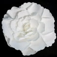 thumbnail image 1 of Rose Large Paper Flower, White, 16-Inch, 1 of 1