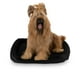 thumbnail image 1 of Cama para Perro Hills Negra X-Large resistente y confortable con relleno suave, 1 of 8